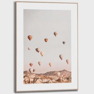 Reinders - Ballooning - Schilderij 70x50cm Hout