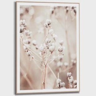 Reinders - Dried Whites - Schilderij 70x50cm Hout Reinders - Dried Whites - Schilderij 70x50cm Hout