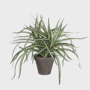 Mica Decorations Dracaena Kunstplant - H34 x Ø40 cm - Wit