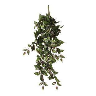 Mica Decorations Tradescantia Kunst Hangplant - H54 cm - Groen Mica Decorations Tradescantia Kunst Hangplant - H54 cm - Groen