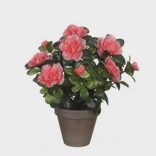 Mica Decorations Azalea Kunstplant - H27 x Ø20 cm - Perzik Mica Decorations Azalea Kunstplant - H27 x Ø20 cm - Perzik