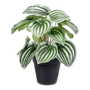 Fleurdirect Peperomia kunstplant
