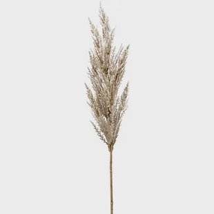 Fleurdirect Grass Pampas kunstplant