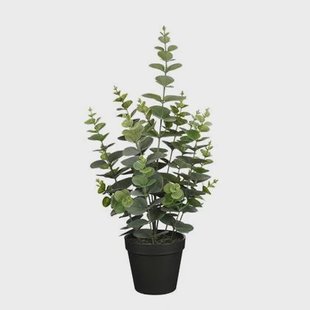 Mica Decorations Eucalyptus Kunstplant - H53 x Ø23 cm - Groen Mica Decorations Eucalyptus Kunstplant - H53 x Ø23 cm - Groen