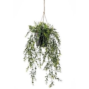 Emerald Kunstplant boxwood Emerald Kunstplant boxwood