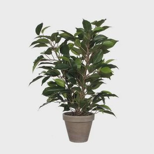Mica Decorations Ficus Natasja Kunstplant in Bloempot H40 cm