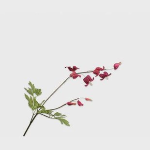 Silk-ka Kunstbloem-Zijden Bloem Frittelaria Tak Rood-Bruin 71 cm