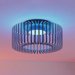 EGLO connect LED plafondlamp Ginestrone-Z, zwart, aluminium