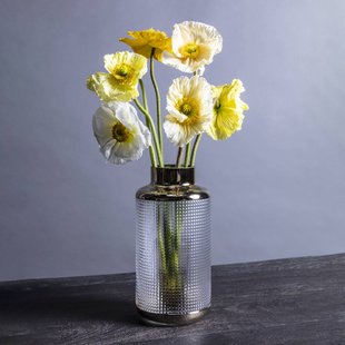 KARE Vaas LA Noble, hoogte 30 cm, glas, goud/helder, handgemaakt