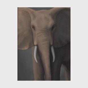 Kunskapstavlan® Skogselefant poster 50x70 cm