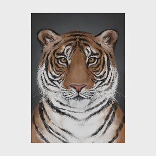 Kunskapstavlan® Tiger poster 50x70 cm