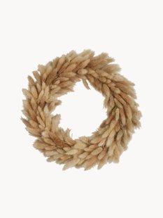 Sierkrans Cilia van hazenstaartgras