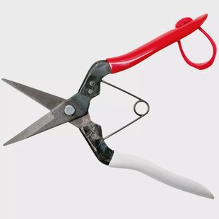 Okatsune Bloemenschaar KST304 voor zachte stengels, bladlengte 4,5 cm