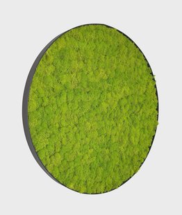 Mosschilderij Linn Metal 60cm.