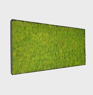 Mosschilderij Linn Metal 100x50cm.