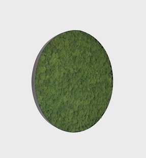 Mosschilderij Fay Metal 60cm.