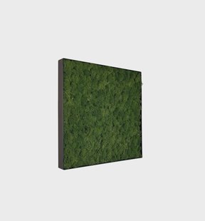 Mosschilderij Fay Metal 50x50cm.