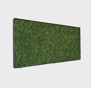 Mosschilderij Fay Metal 100x50cm.