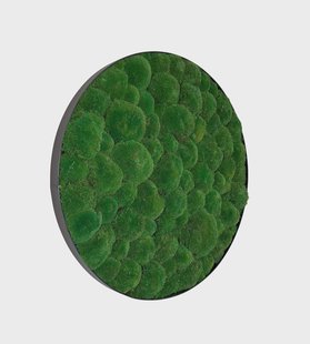 Mosschilderij Jade Metal 100cm.