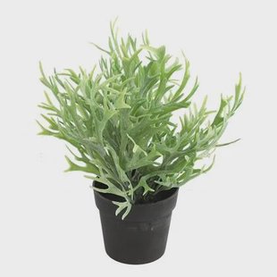 Countryfield Kunstplant Platycerium in bloempot - Groen - 20 x 24 cm