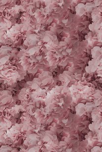Moooi Carpets - Laagpolig Vloerkleed Hortensia Pink Soft Yarn - Moooi Carpets - Laagpolig Vloerkleed Hortensia Pink Soft Yarn -
