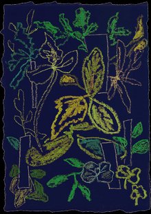 Moooi Carpets - Vloerkleed Sprouts Scarlet Blue Low Pile -