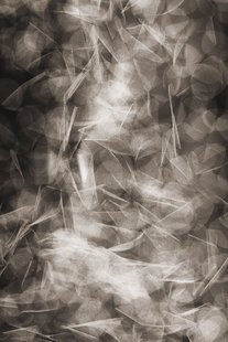 Moooi Carpets - Vloerkleed Falling Petals Soft Yarn -