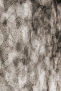 Moooi Carpets - Vloerkleed Flowing Petals Low Pile -