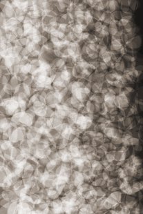 Moooi Carpets - Vloerkleed Lying Petals Wool -