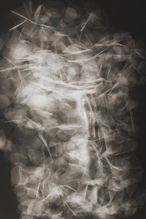 Moooi Carpets - Vloerkleed Tumbling Petals Soft Yarn -