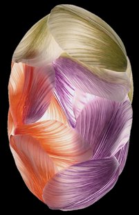 Moooi Carpets - Vloerkleed Cocoon Red Wool -