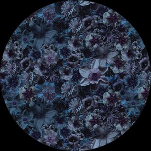 Moooi Carpets - Rond Vloerkleed Flowergarden Round Night Wool - 350 cm rond