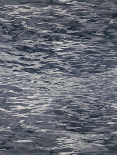 Moooi Carpets - Fluid Water - 300x400 cm Vloerkleed