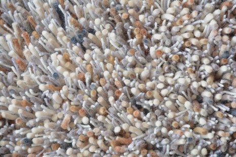 Brink en Campman - Young 61801 - 250 rond Vloerkleed