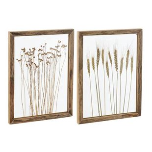 J-Line wanddecoratie Graan - dennenhout|glas - transparant|b