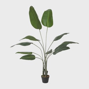 Kunstplant strelitzia - 160 cm