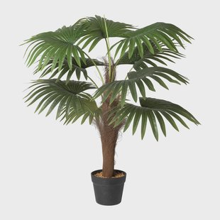 Kunstplant Chinese waaierpalm - 90 cm