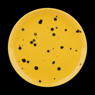 Marimekko Oiva bord Ø13,5 cm Yellow-black