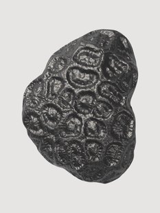 Metalen wandhaak Comber