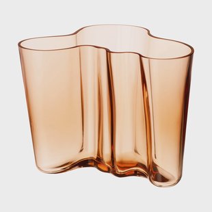 Iittala Alvar Aalto vaas Rio bruin 160 mm