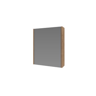 Spiegelkast Proline Comfort Met Houten Deur 50x14x60 cm Whisky Oak