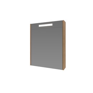 Spiegelkast Proline Premium Met Houten Deur Geïntrigeerd LED Verlichting 60x14x60 cm Whisky Oak