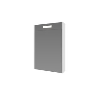 Spiegelkast Proline Premium Met Houten Deur Geïntrigeerd LED Verlichting 50x14x60 cm Ice White