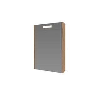 Spiegelkast Proline Premium Met Houten Deur Geïntrigeerd LED Verlichting 50x14x60 cm Whisky Oak