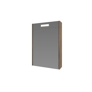 Spiegelkast Proline Premium Met Houten Deur Geïntrigeerd LED Verlichting 50x14x60 cm Scotch Oak