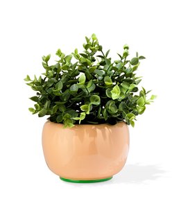 HEMA Bloempot 15x10x10cm Keramiek Perzik (perzik) HEMA Bloempot 15x10x10cm Keramiek Perzik (perzik)
