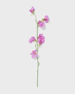 HEMA Kunstbloem lathyrus paars (lila)