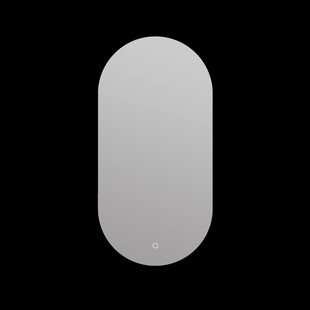 Badkamerspiegel Arcqua 40x80 cm ovaal verticaal backlight LED