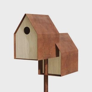 Noaste Noaber standing