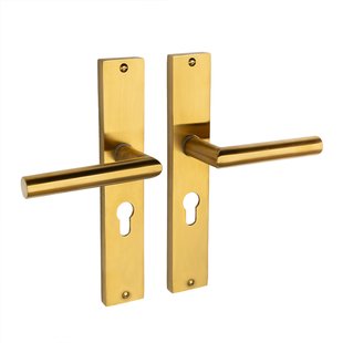 Mooi Deurbeslag Ferro geveerd op schild cilindergat 55mm mat messing